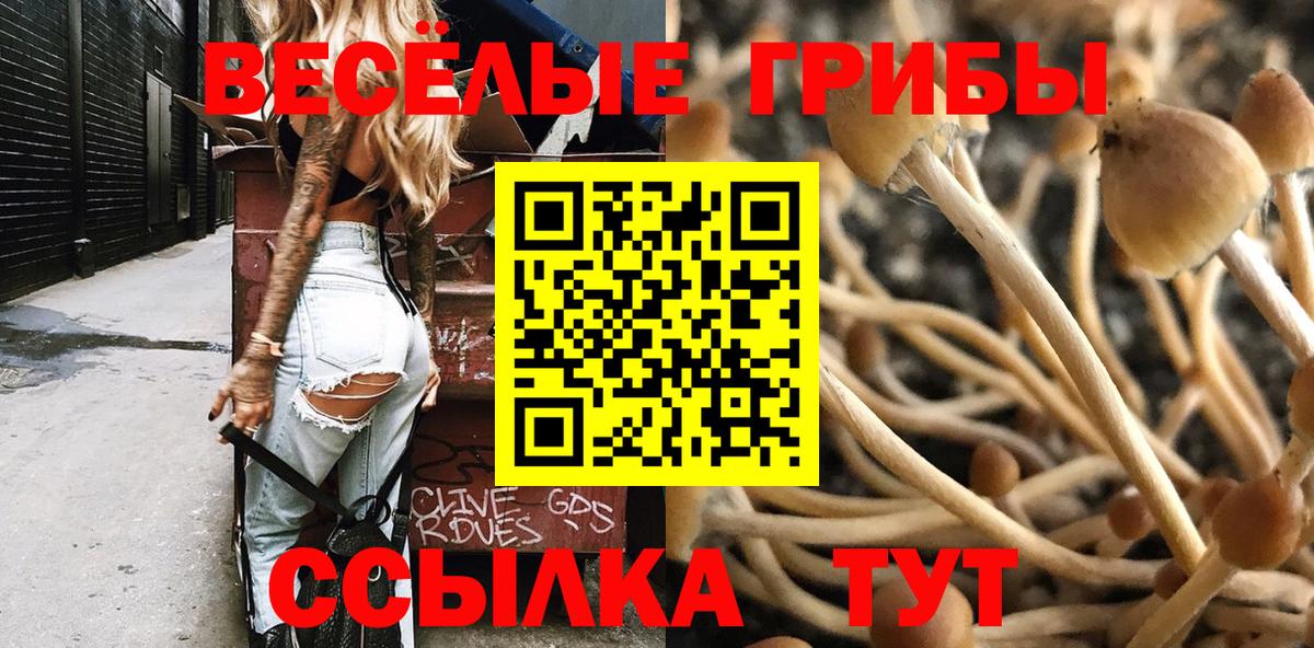 Псилоцибиновые грибы MAGIC MUSHROOMS Гусиноозёрск