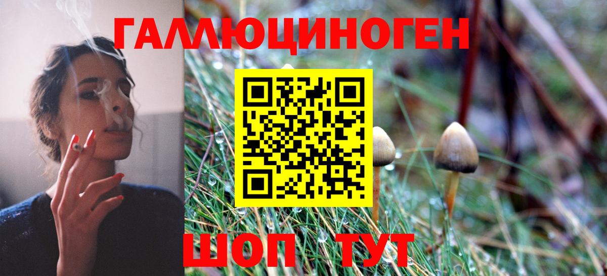 Гусиноозёрск  Псилоцибиновые грибы ЛСД  Вход с VPN 