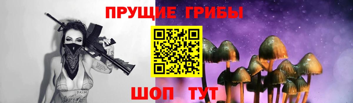 Галлюциногенные грибы MAGIC MUSHROOMS  Гусиноозёрск  Галлюциногенные грибы мухоморы 