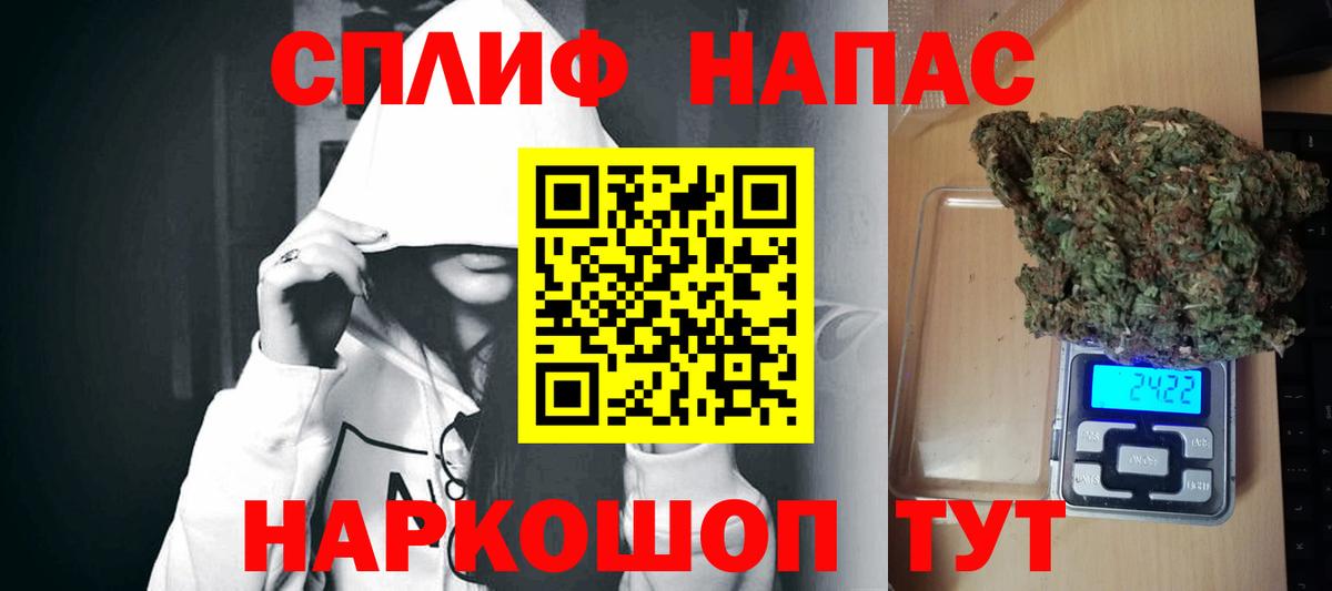 Бошки Шишки семена Гусиноозёрск